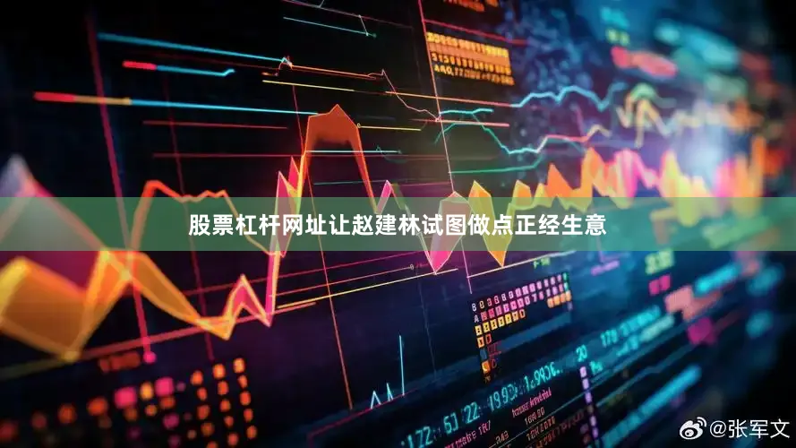 股票杠杆网址让赵建林试图做点正经生意
